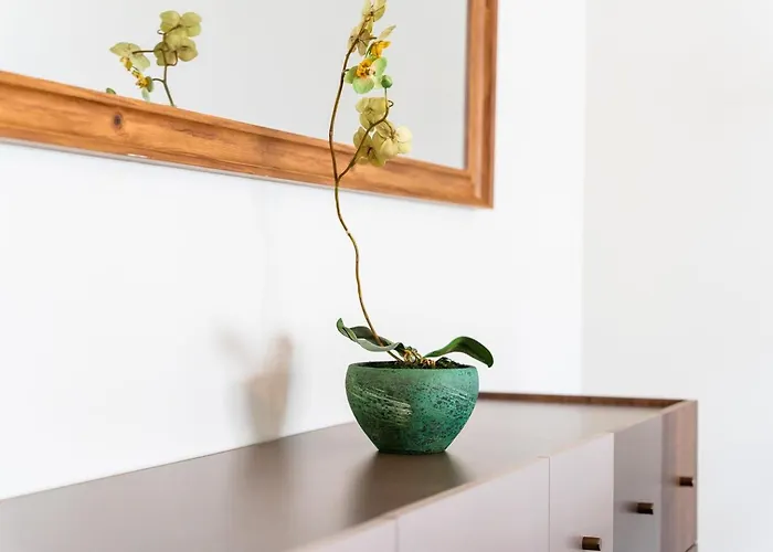 Apartment Guestready - Lovely Experience In Funchal (Madeira)